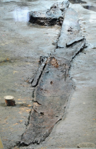 雷下遺跡で見つかった最古の丸木船
